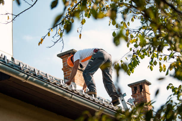 Best Roof Maintenance Services  in Mcqueeney, TX